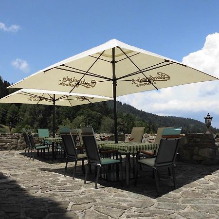 Rožmberk nad Vltavou Hotel Studenec المظهر الخارجي الصورة