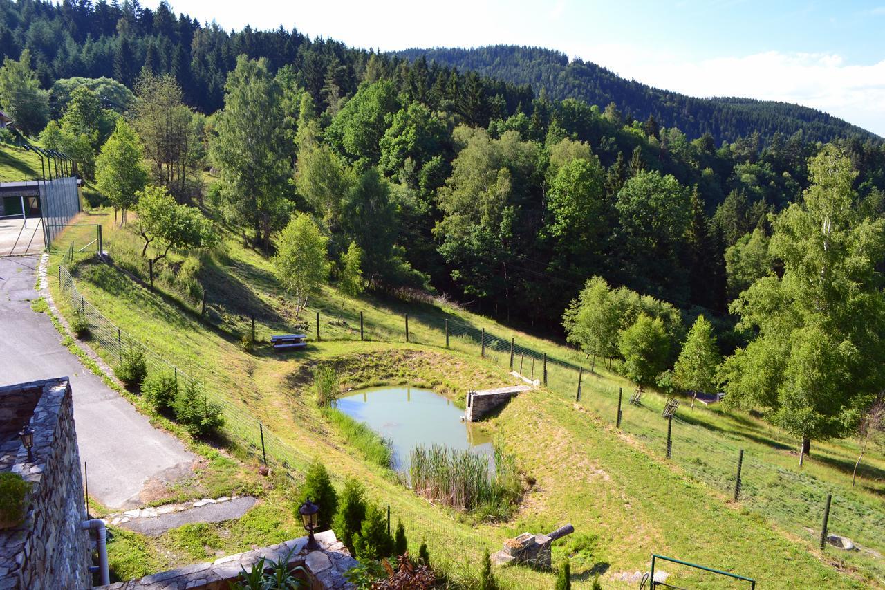 Rožmberk nad Vltavou Hotel Studenec المظهر الخارجي الصورة