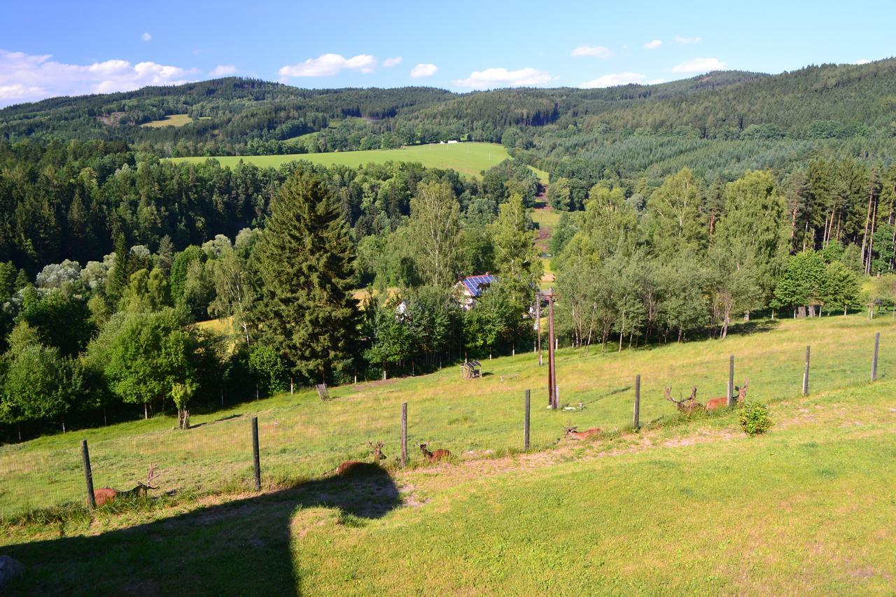 Rožmberk nad Vltavou Hotel Studenec المظهر الخارجي الصورة